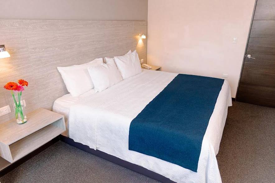 Kasa Hotel & Suites Irapuato Ngoại thất bức ảnh